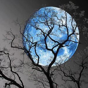 Meet your Posher, Tonya